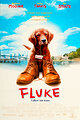 Fluke