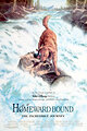 Homeward Bound: The Incredible Journey