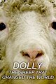 Dolly: The Sheep That Changed the World