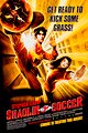 Shaolin Soccer