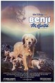 Benji the Hunted