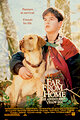 Far from Home: The Adventures of Yellow Dog