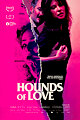 Hounds of Love