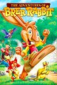 The Adventures of Brer Rabbit