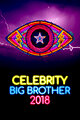 Celebrity Big Brother