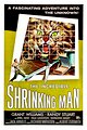 The Incredible Shrinking Man