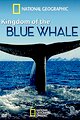 Kingdom of the Blue Whale