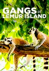 Gangs of Lemur Island