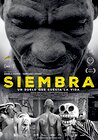 Siembra