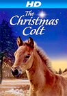 The Christmas Colt