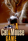 A Cat and Mouse Game