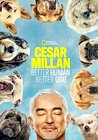 Cesar Millan: Better Human Better Dog