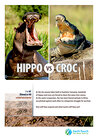 Hippo vs Croc