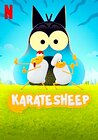 Karate Sheep