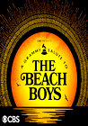 A Grammy Salute to the Beach Boys