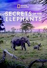 Secrets of the Elephants