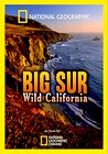 Big Sur-Wild California