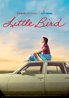 Little Bird