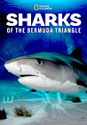 Sharks of the Bermuda Triangle