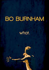 Bo Burnham: what.