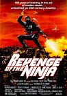 Revenge of the Ninja