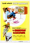 The Barefoot Executive