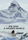 Ice Age: A Frozen World