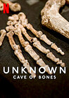 Unknown: Cave of Bones