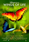 Disneynature: Wings of Life