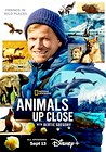 Animals Up Close with Bertie Gregory