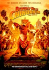 Beverly Hills Chihuahua