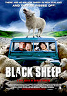 Black Sheep