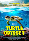 Turtle Odyssey