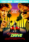 License to Drive