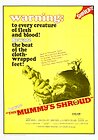 The Mummy's Shroud