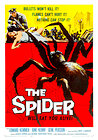 The Spider