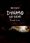 Dynamo is Dead