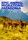 Epic Animal Migrations: Patagonia