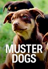 Muster Dogs