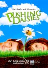 Pushing Daisies