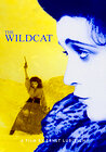 The Wildcat