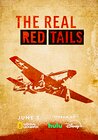 The Real Red Tails