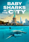 Baby Sharks in the City