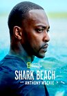 Shark Beach with Anthony Mackie