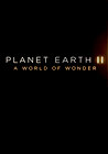 Planet Earth II: A World of Wonder