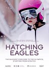 Hatching Eagles