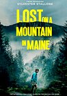 Lost on a Mountain in Maine