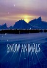 Snow Animals