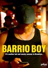 Barrio Boy