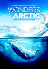 Wonders of the Arctic 3D